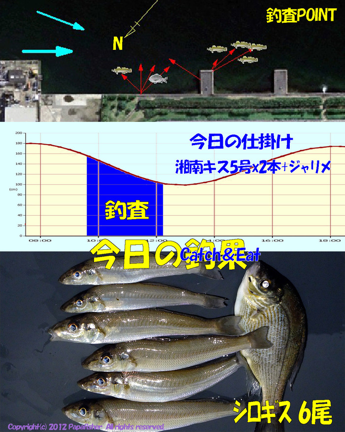 チョイ投げ鱚釣査 42　湾奥 ツ抜け??