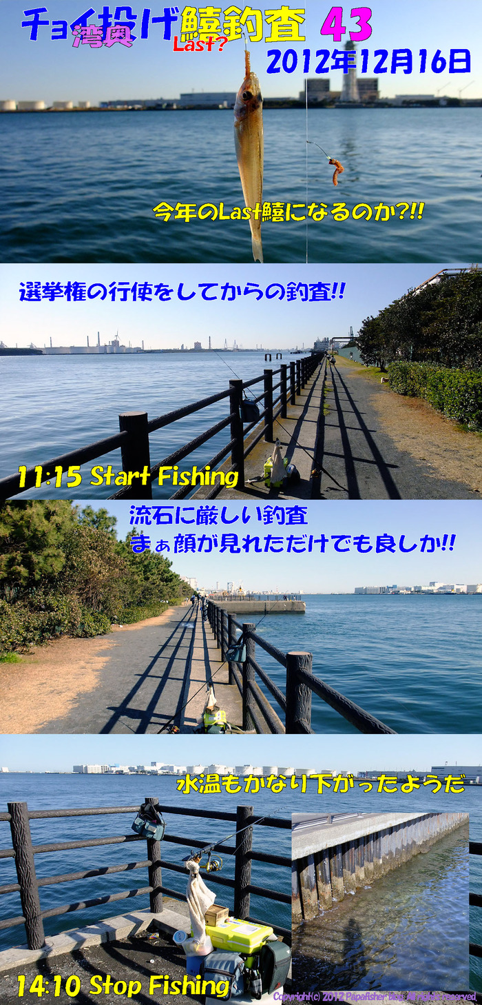 チョイ投げ鱚釣査 43　Last鱚?!!