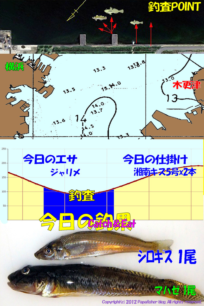 チョイ投げ鱚釣査 43　Last鱚?!!