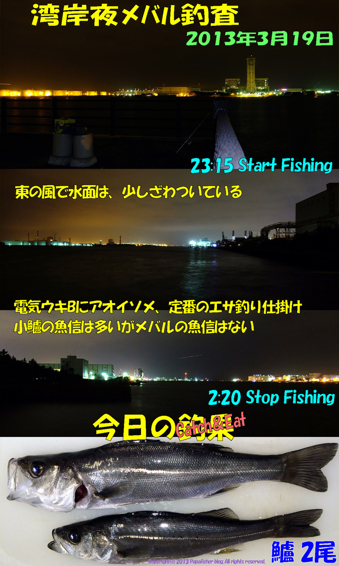 湾岸夜メバル釣査