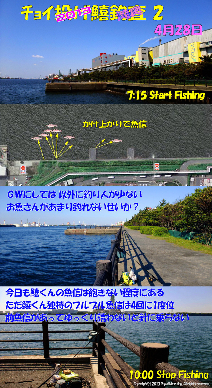 2013　チョイ投げ鱚釣査2