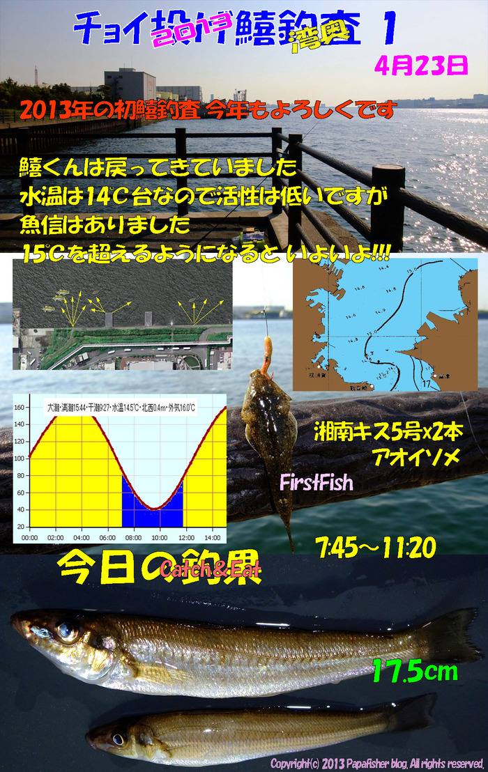 2013　チョイ投げ鱚釣査1