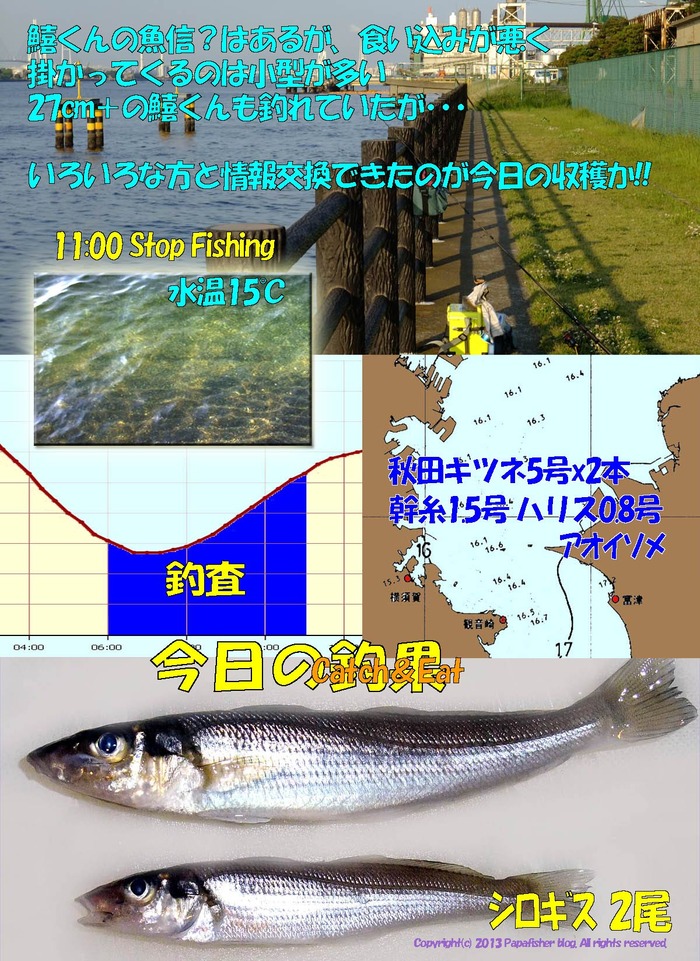2013　チョイ投げ鱚釣査5