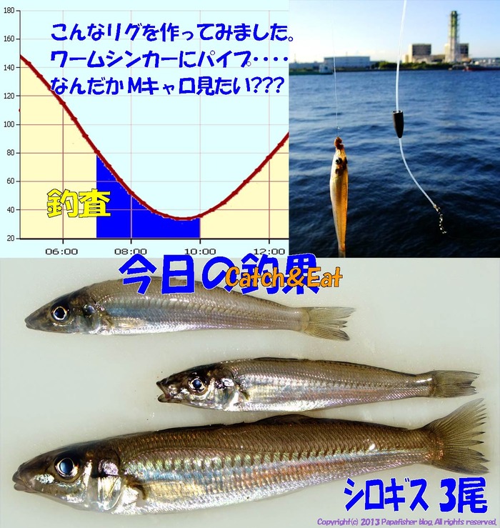2013　チョイ投げ鱚釣査6