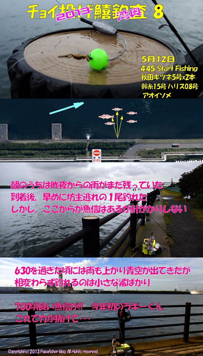 2013　チョイ投げ鱚釣査8