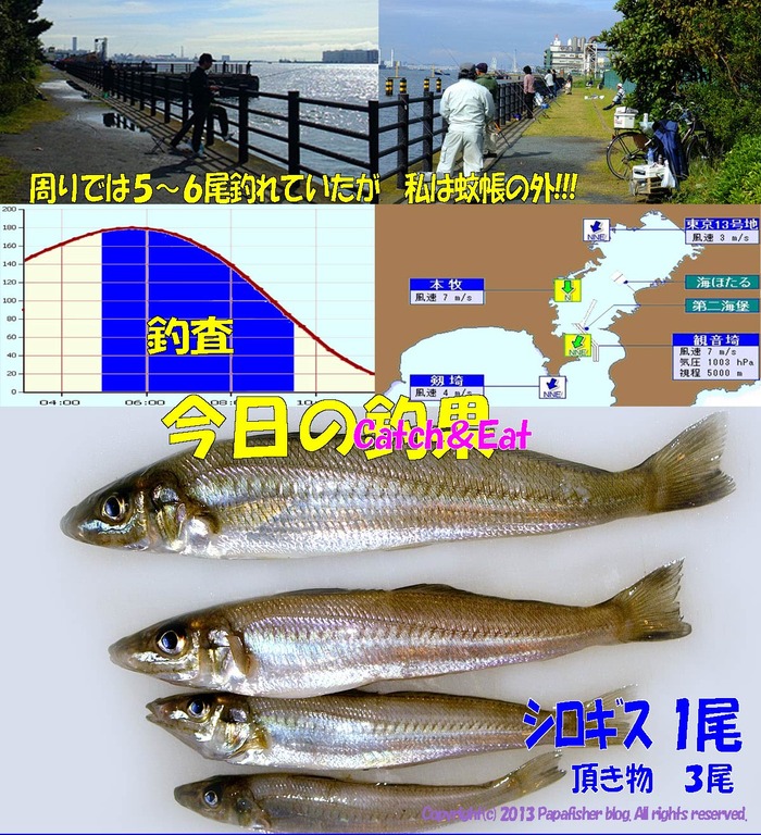 2013　チョイ投げ鱚釣査8
