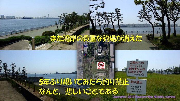 2013　やや投げ鱚釣査9