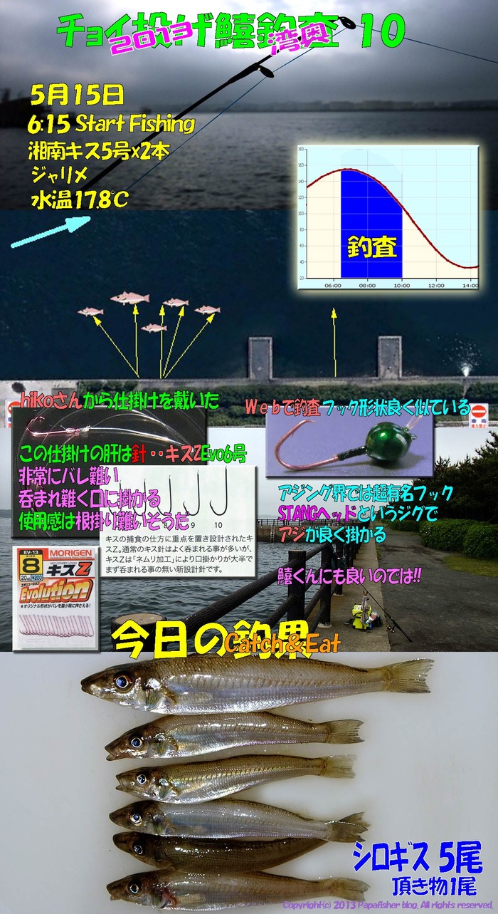2013　チョイ投げ鱚釣査10