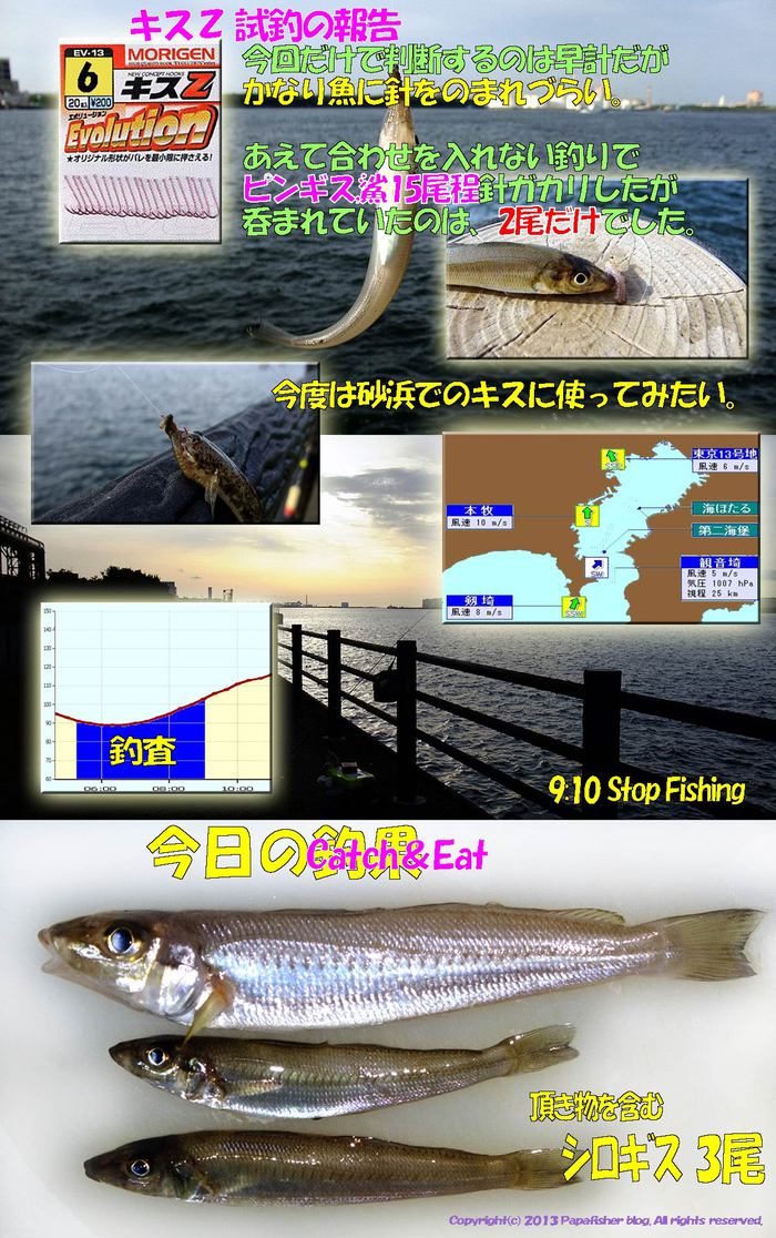 2013　チョイ投げ鱚釣査11