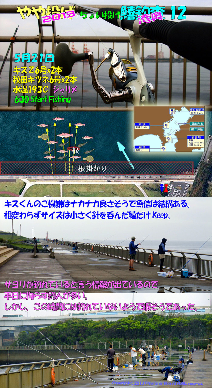 2013　やや投げ鱚釣査12