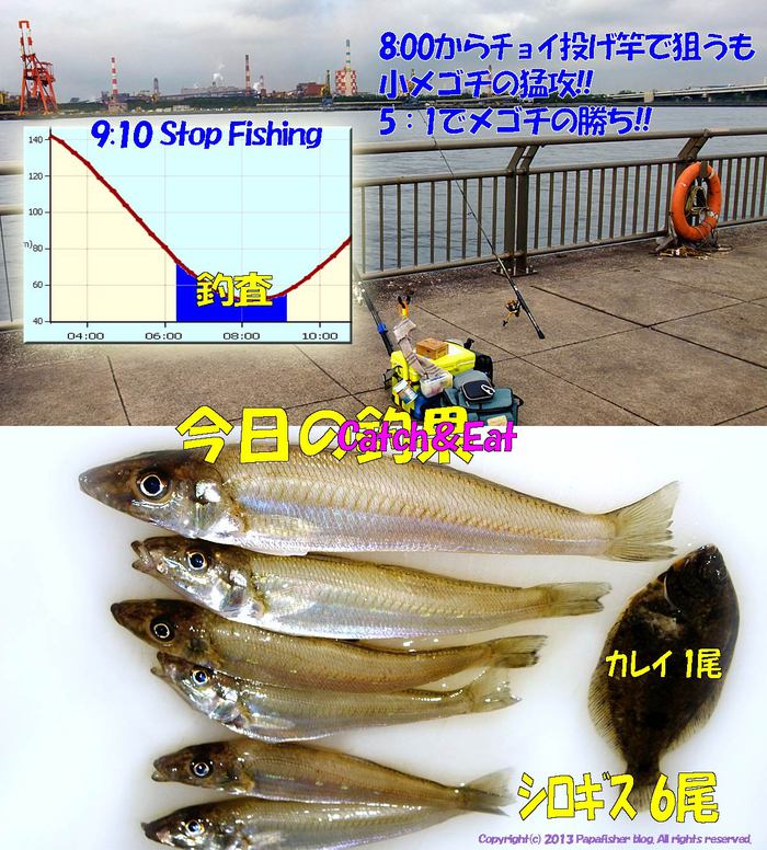 2013　やや投げ鱚釣査12
