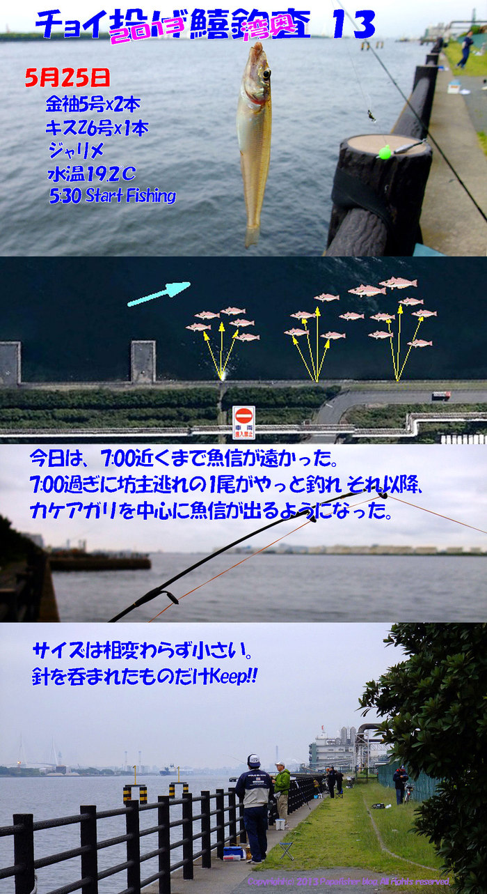 2013　チョイ投げ鱚釣査13