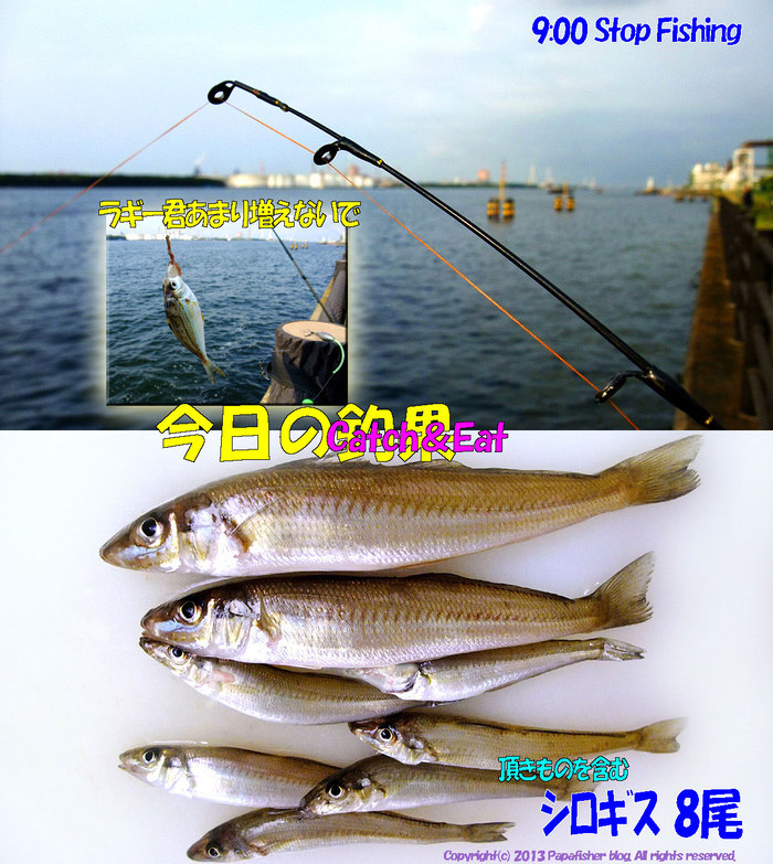 2013　チョイ投げ鱚釣査14