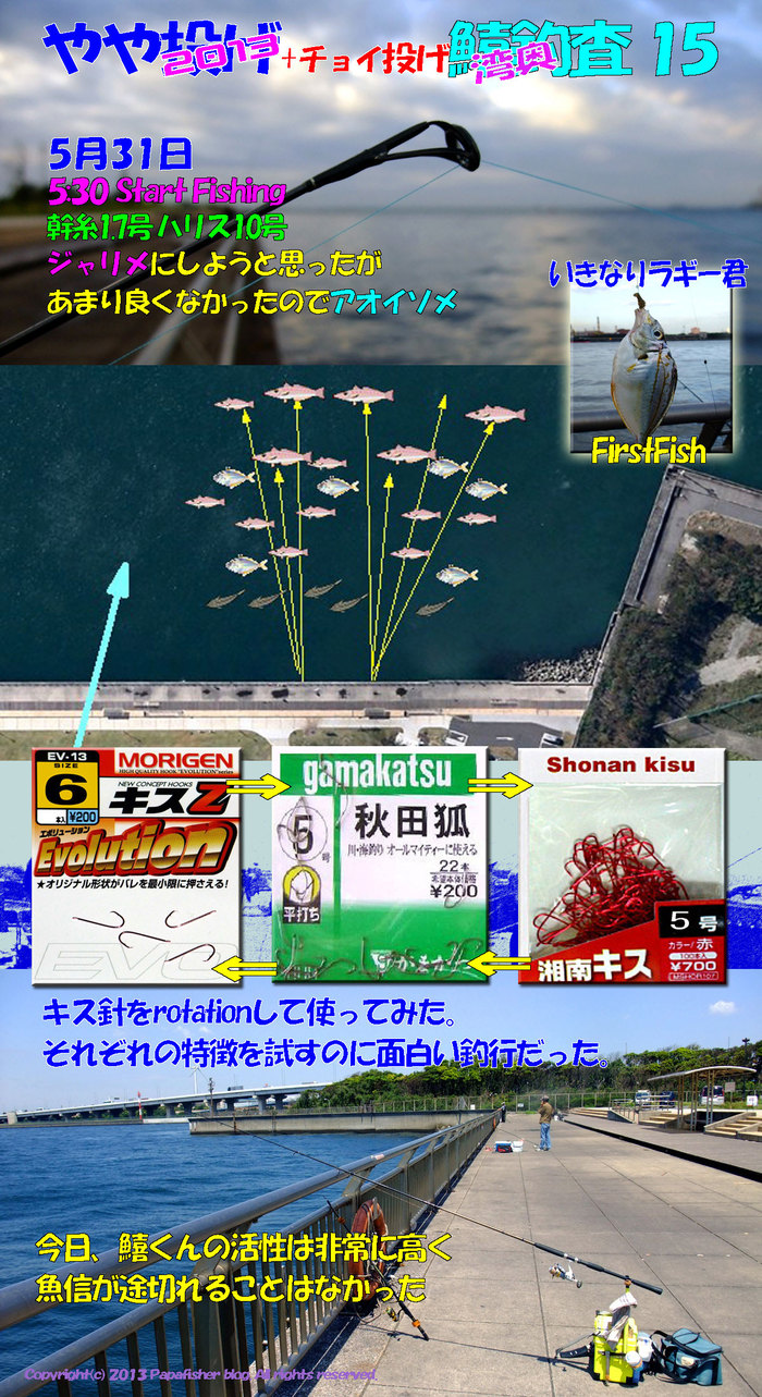 2013　やや投げ鱚釣査15