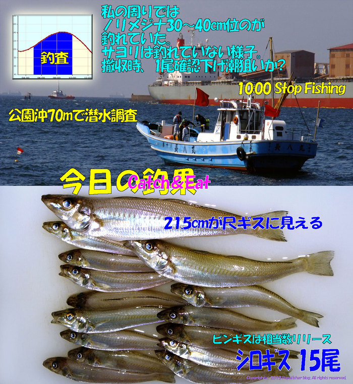 2013　やや投げ鱚釣査15