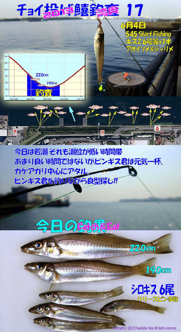 2013　チョイ投げ鱚釣査17