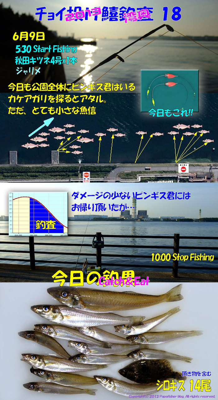 2013　チョイ投げ鱚釣査18