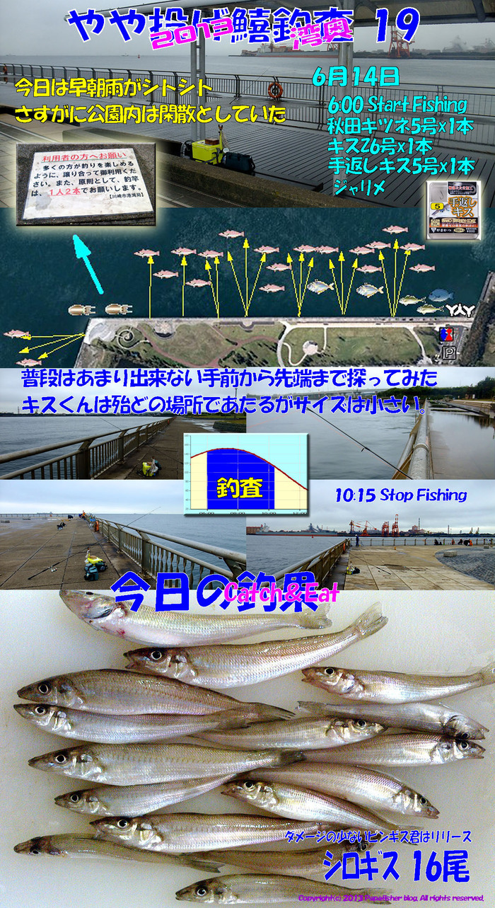 2013　やや投げ鱚釣査19