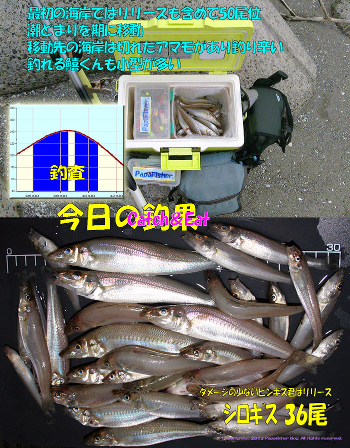 2013　やや投げ鱚釣査20