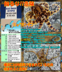 触るな!!　危険