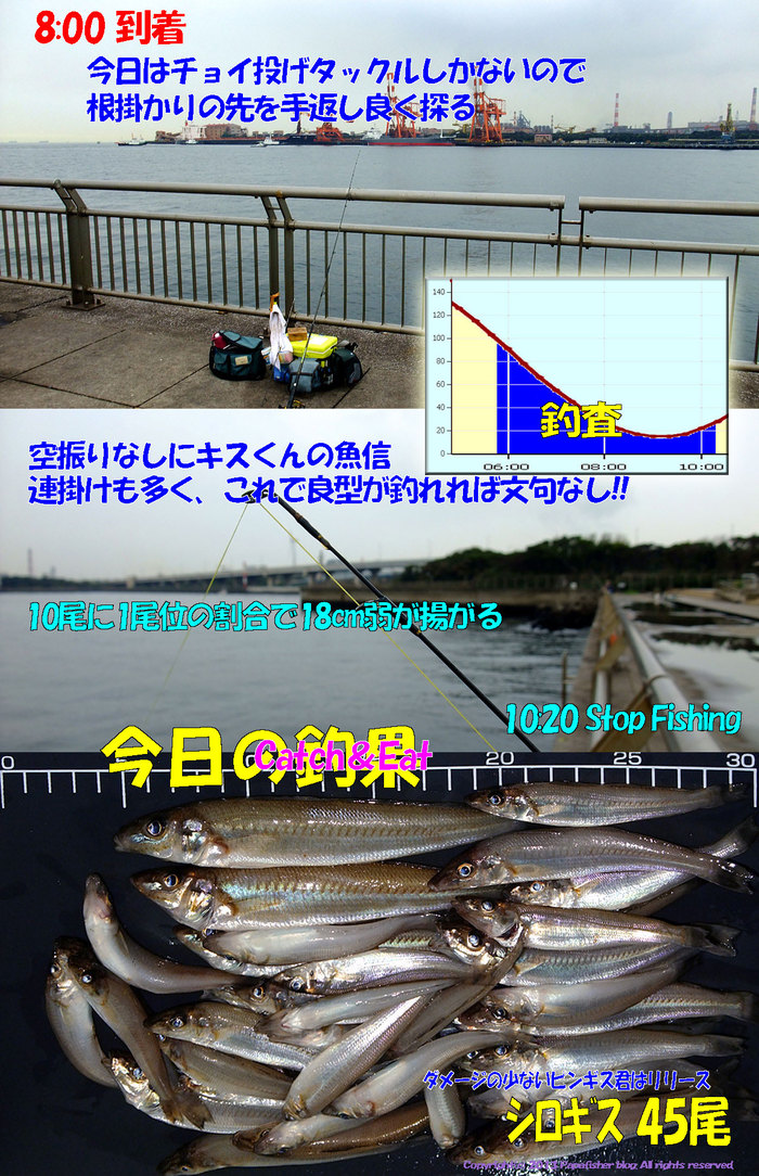 2013　チョイ投げ鱚釣査22