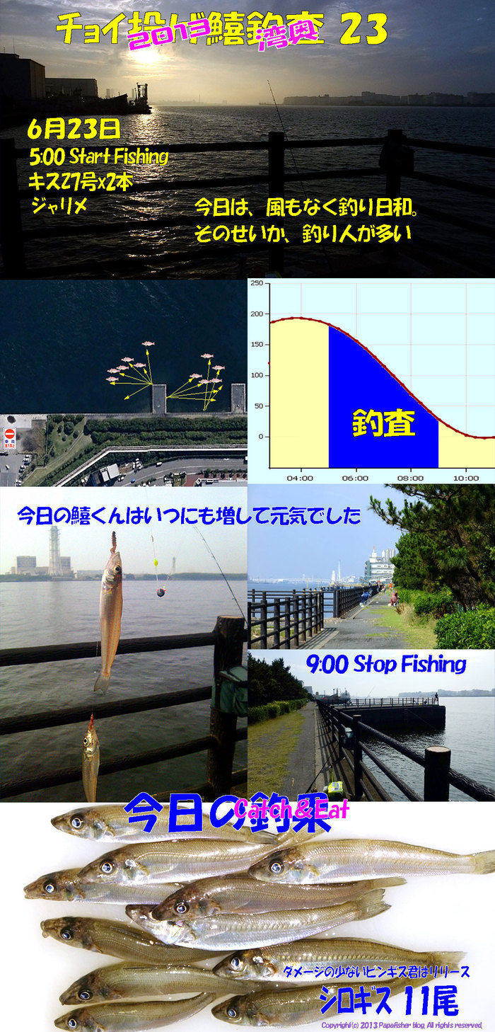 2013　チョイ投げ鱚釣査23