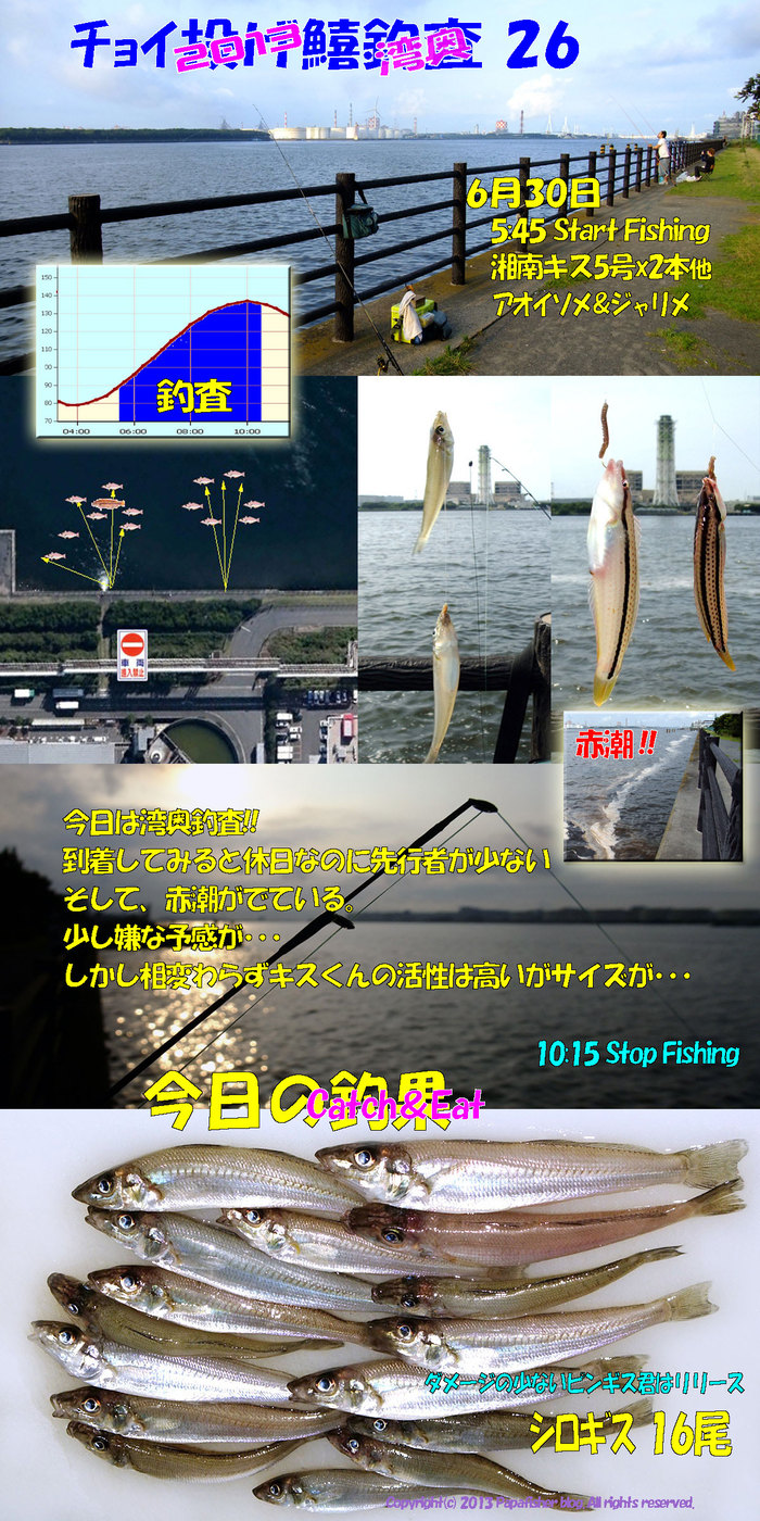 2013　チョイ投げ鱚釣査26