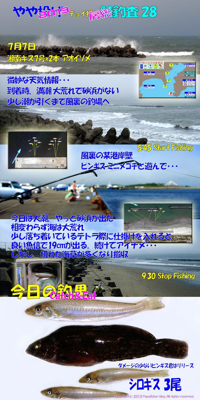 2013　やや投げ+チョイ投げ鱚釣査28　房総大佐和海岸
