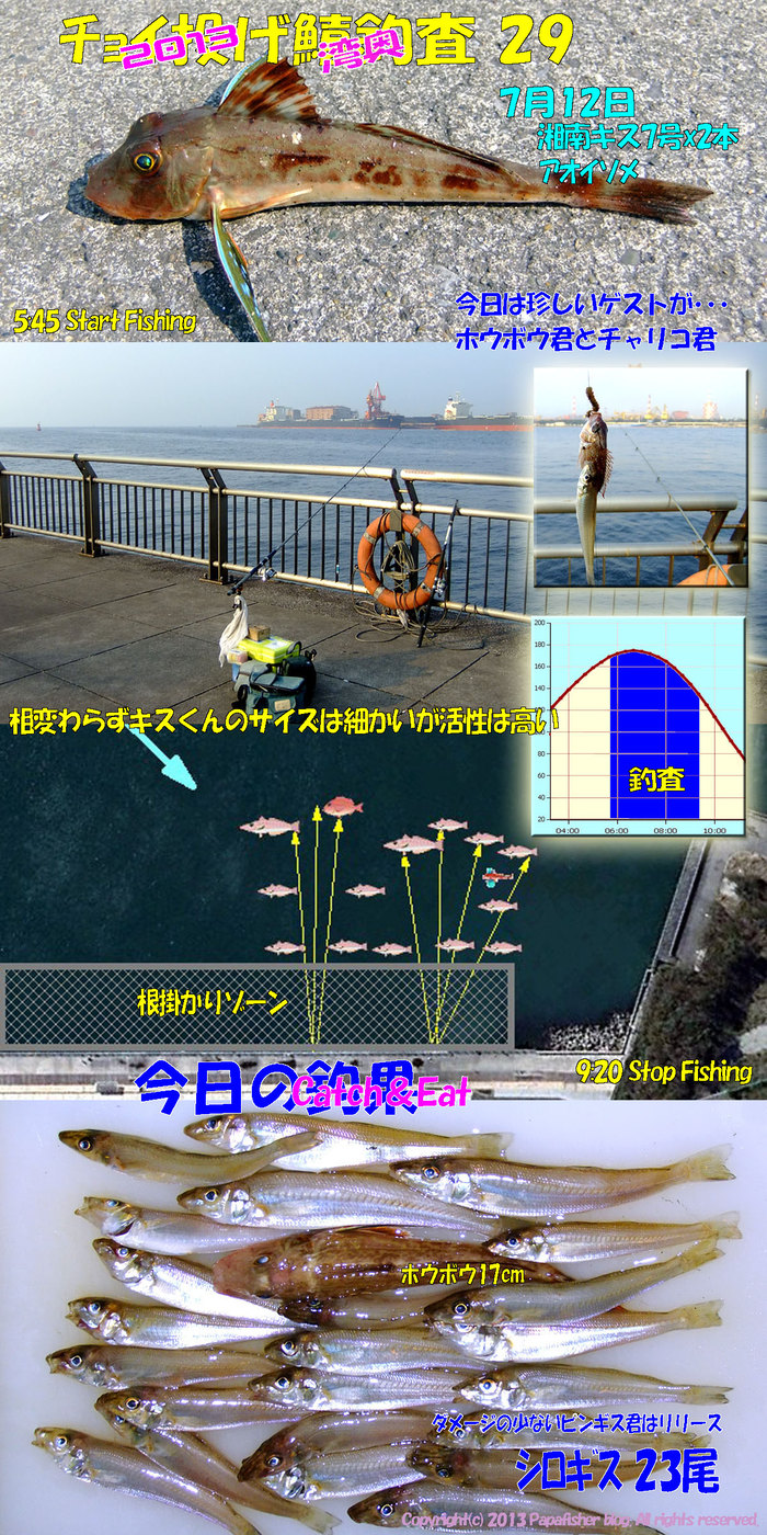 2013　チョイ投げ鱚釣査29