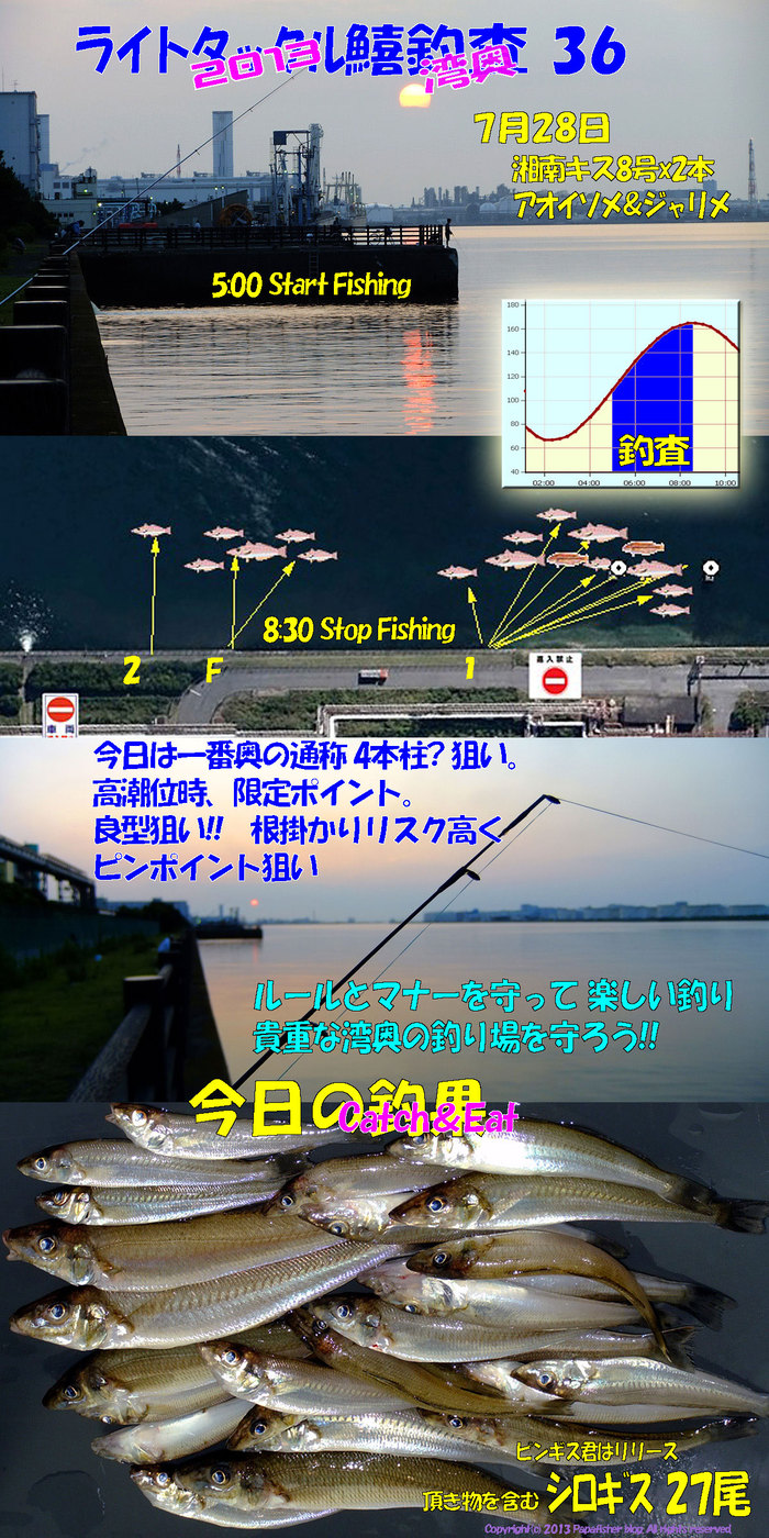 2013　ライトタックル鱚釣査36