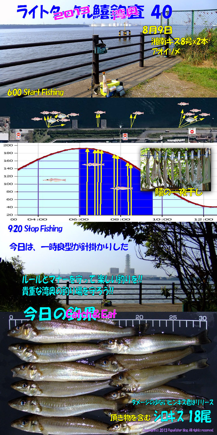 2013　ライトタックル鱚釣査40