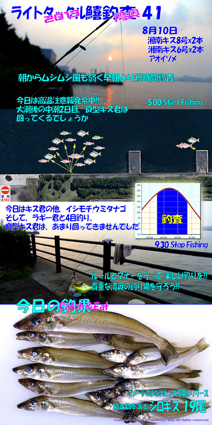 2013　ライトタックル鱚釣査41
