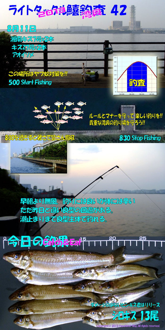 2013　ライトタックル鱚釣査42　
