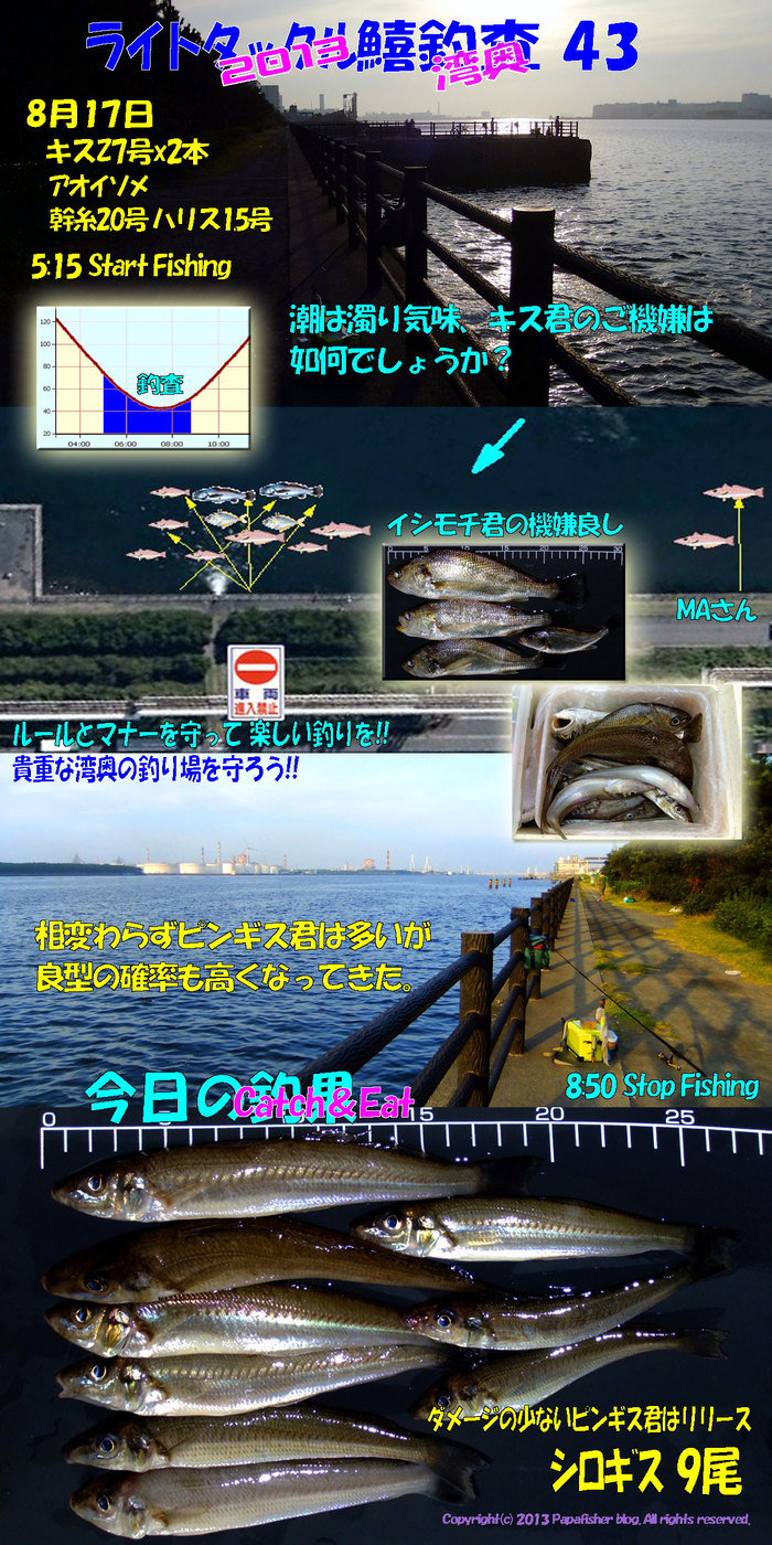 2013　ライトタックル鱚釣査43　