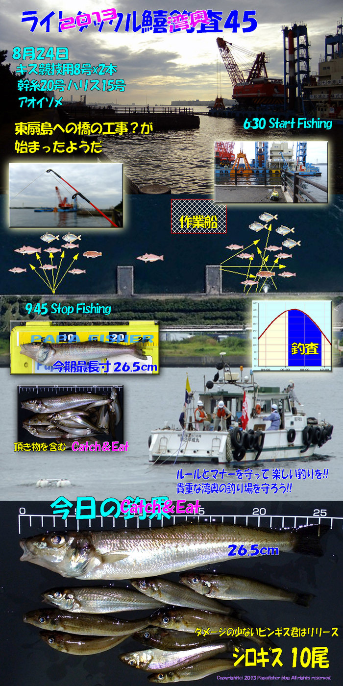 2013　ライトタックル鱚釣査45　