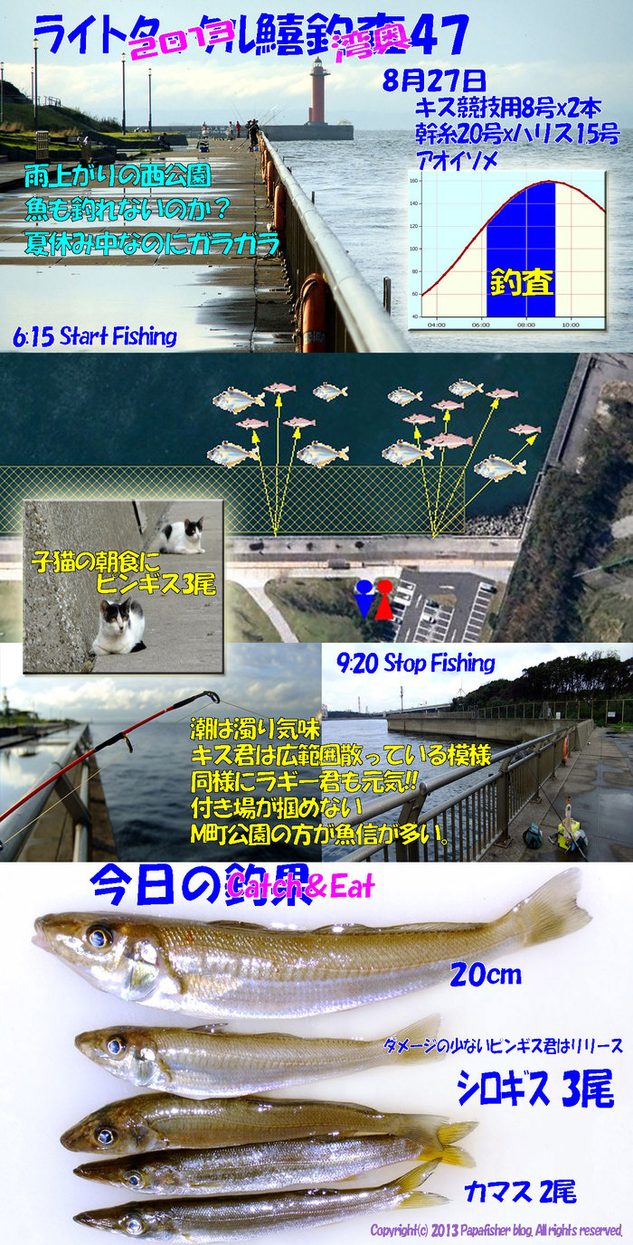 2013　ライトタックル鱚釣査47