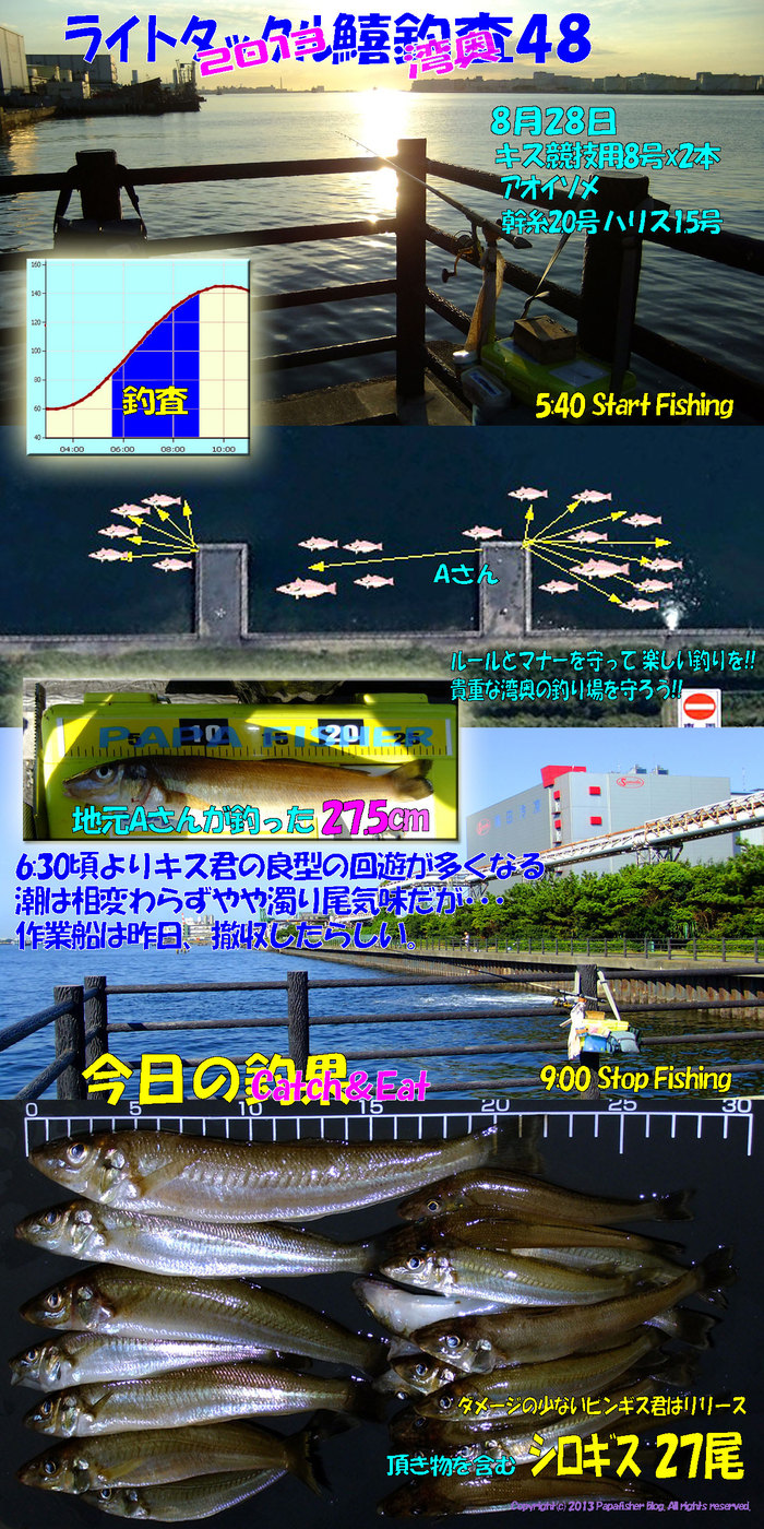 2013　ライトタックル鱚釣査48　今期一番27.5cm