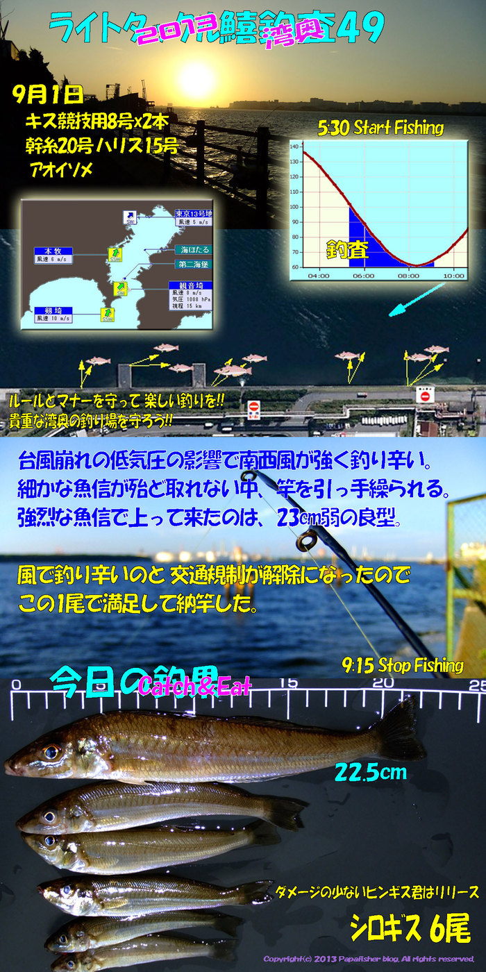 2013　ライトタックル鱚釣査49