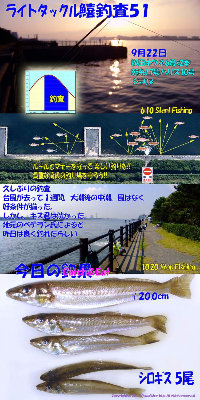 2013　ライトタックル鱚釣査51
