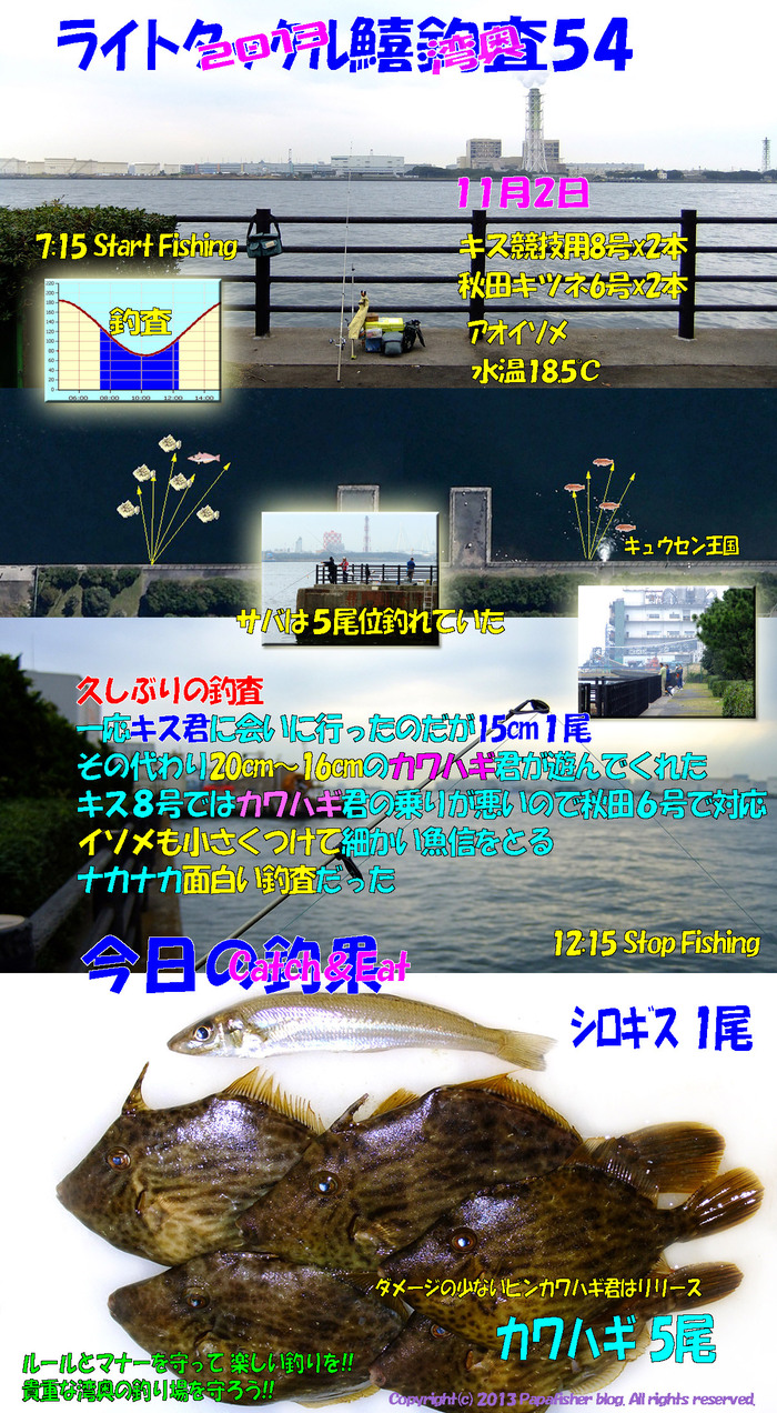 2013　ライトタックル鱚釣査54