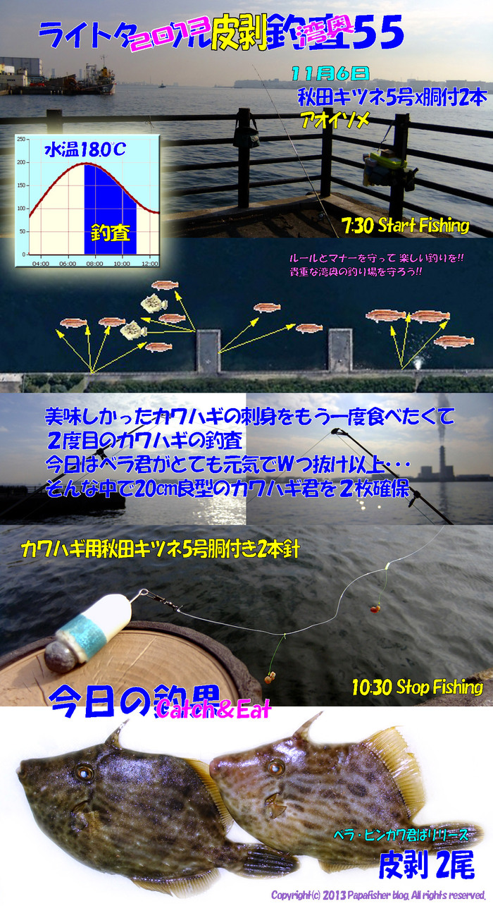 2013　ライトタックル皮剥釣査55