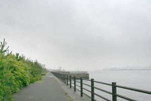 霧雨の朝