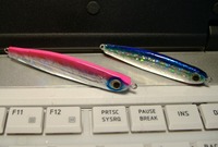 新しい魚種に挑戦