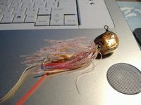 カブラに！！！