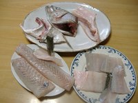 初スズキ　（そのー２・・・・いただきまーす）