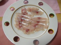 ８月中の釣果