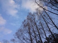 山あり谷あり