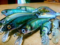 メガバスGGカラー 2007/10/15 17:36:02