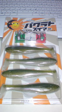 バクラトスイマー 2008/07/08 22:31:21