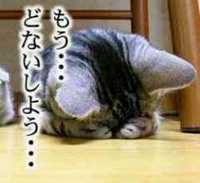 どうしたものか… 2009/01/06 00:45:24
